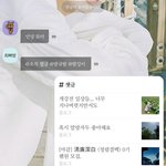 [댓글부탁해] 귀여운 아이돌 찾는다? 투바투 범규 추천