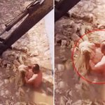 中 '절임 <b>배추</b>' 영상 논란, 토악질 나와