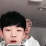 보급형 <b>라이관린</b>과 보급형 지디