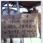 고<b>로켓</b>이랑 쇼키 사귀는거야??