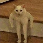 <b>배달</b>음식 어머니 드린다는 쓰닌데