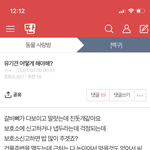 [강아지] 유기견 글 여쭤봤던 사람인데요..
