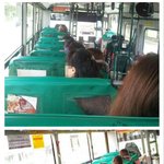 [정보] 대중교통 <b>좌석</b>이용 남녀차이.jpg