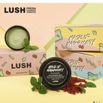 [댓글부탁해] 친구생일선물로 <b>러쉬</b> 이거 어때...?