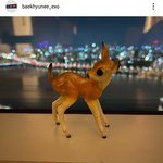 스포했는데 못알아먹어서 서운한 백현잌ㅋㅋㅋㅋ