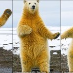 <b>선망</b>받는 좋은직업이 몇없고 종류도 적은