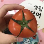 와 아침 먹다ㅏ가 조카 신기한 거 발견함