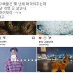 엑소가 노빠꾸 스포해도 괜찮은 이유