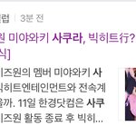 <b>사쿠라</b> 확인중이래