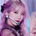 사쿠라 빅히트 <b>찬성</b>