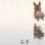 [댓글부탁해] 치킨 30분이나 일찍 왔다