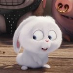 아니 여돌들 ㄹㅇ 궁금한게