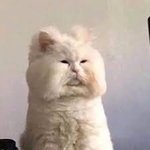 배달음식 어머니 후기