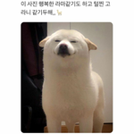 [댓글부탁해] 너네는 이러면 <b>안</b>짜증<b>남</b>?