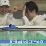 방탄이 호텔 풀에서 하는짓