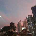 [19] <b>역시</b> 털없는것보다 있는게 좋아