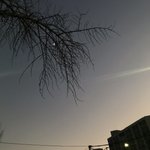 <b>Entp</b> 질문받음 ㅇㅇ