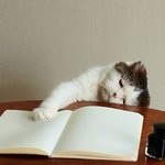[드루와] 쿠션 골라주라 제발 제발 7분 <b>남음</b>