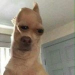 [드루와] 우리 <b>무야</b>오치님 ❤️