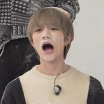 [MOA] 우리집 <b>말티쥬</b>가 곧 있음 생일인데요