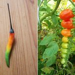 마음 편해지는 <b>정갈</b>한 음식들