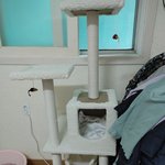 어제 애기 기다리고