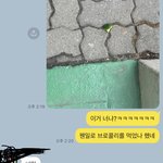 동생 조카웃기네ㅋㅋㅋㅋㅋㅋㅋㅋ