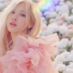 로제노래 <b>요약</b>