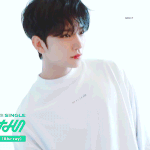 [세븐틴] 아 신난다 신난다