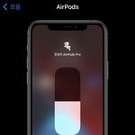 [NCT] ㅇH플코리아 <b>개발자</b> 시즈니인가봐