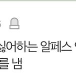 나도 뭐 알페스 걍 <b>존중</b>하는데