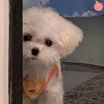 아나머리숱 존아많㉵;;