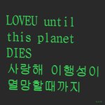 아니 나만 <b>키작</b><b>녀</b>키큰<b>녀</b> 싸우는거어이없냐