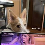 로제 <b>홍보</b>중인 로제언니