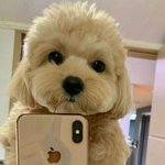 이거 김칫국인지 아닌지 <b>판별</b>좀