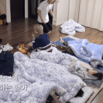 [엔하이픈] 오늘 <b>빌리프</b>랩