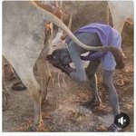 __진짜 충격적이여서 <b>입이</b> 안 다물어짐