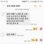 우리 어머니에게 보이스<b>피싱</b>이....