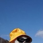 한국에서 <b>유명</b>한 마스카라 알려줘 ㅈㅂ