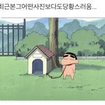 마멜상 연예인 또 누구있지