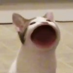 나걍 좋알람 보고 <b>빡빡</b>울고잇음