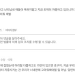[세븐틴] 머리채 그만 잡으란다 ^^