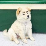 [댓글부탁해] 교복 <b>조끼</b> 안입어도 ㄱㅊ?