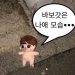 이거 누구 <b>인형</b>인지 아는 사람