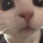 [드루와] 고 2, 3 언니들 1학년 좀 도와조 ㅠㅠ ❤️