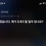 [NCT즌] 극ㅅㄷ 나만 그러냐