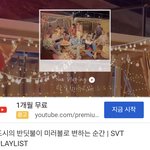 [세븐틴] 너네 세븐틴 플리 중에