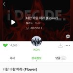 아이콘 솔직히