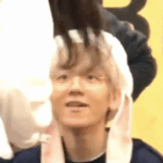 <b>백현</b>이 토끼