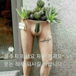 아근데 나 요즘 비엘 소설이 넘 좋다